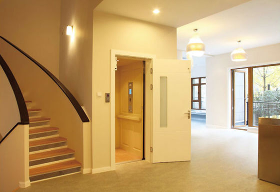 Geluidsarme roestvrijstalen 304 huislift met een belasting van 250-400 kg voor villa's en residentieel gebruik