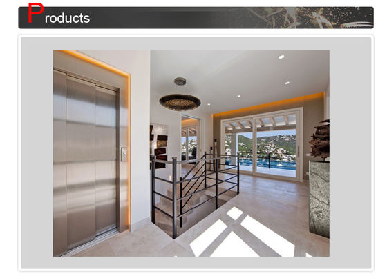 De Liftlift Met geringe geluidssterkte van het ladings250~400kg Duurzame Goedkope Kleine Panoramische Gass Huis