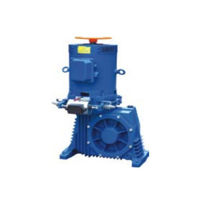 Roltrap aandrijving met vermogen 8~15kW Roltrap installatie veiligheid